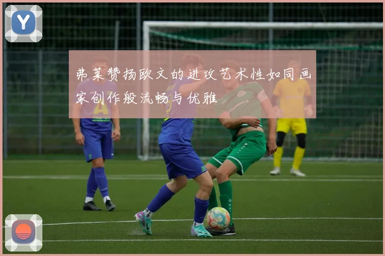 弗莱赞扬欧文的进攻艺术性如同画家创作般流畅与优雅