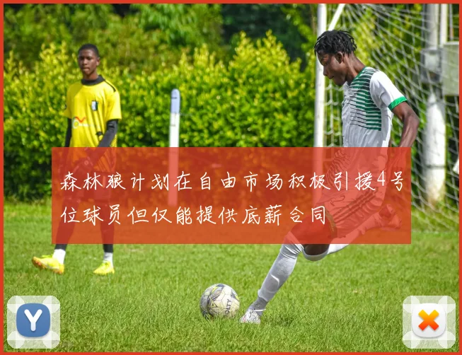 森林狼计划在自由市场积极引援4号位球员但仅能提供底薪合同